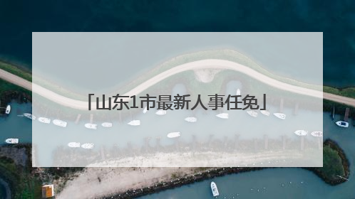 山东1市最新人事任免